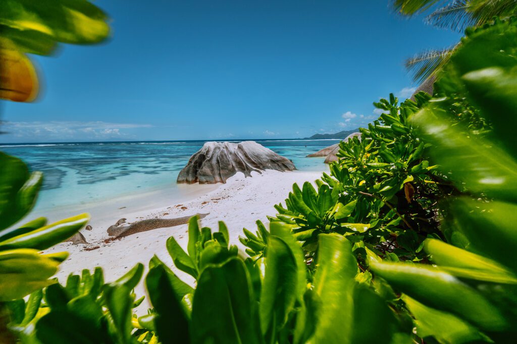 Private Ocean Islands anse source d 39 argent beach beautifully shape 2023 11 27 05 09 25 utc Private Ocean Islands anse source d 39 argent beach beautifully shape 2023 11 27 05 09 25 utc