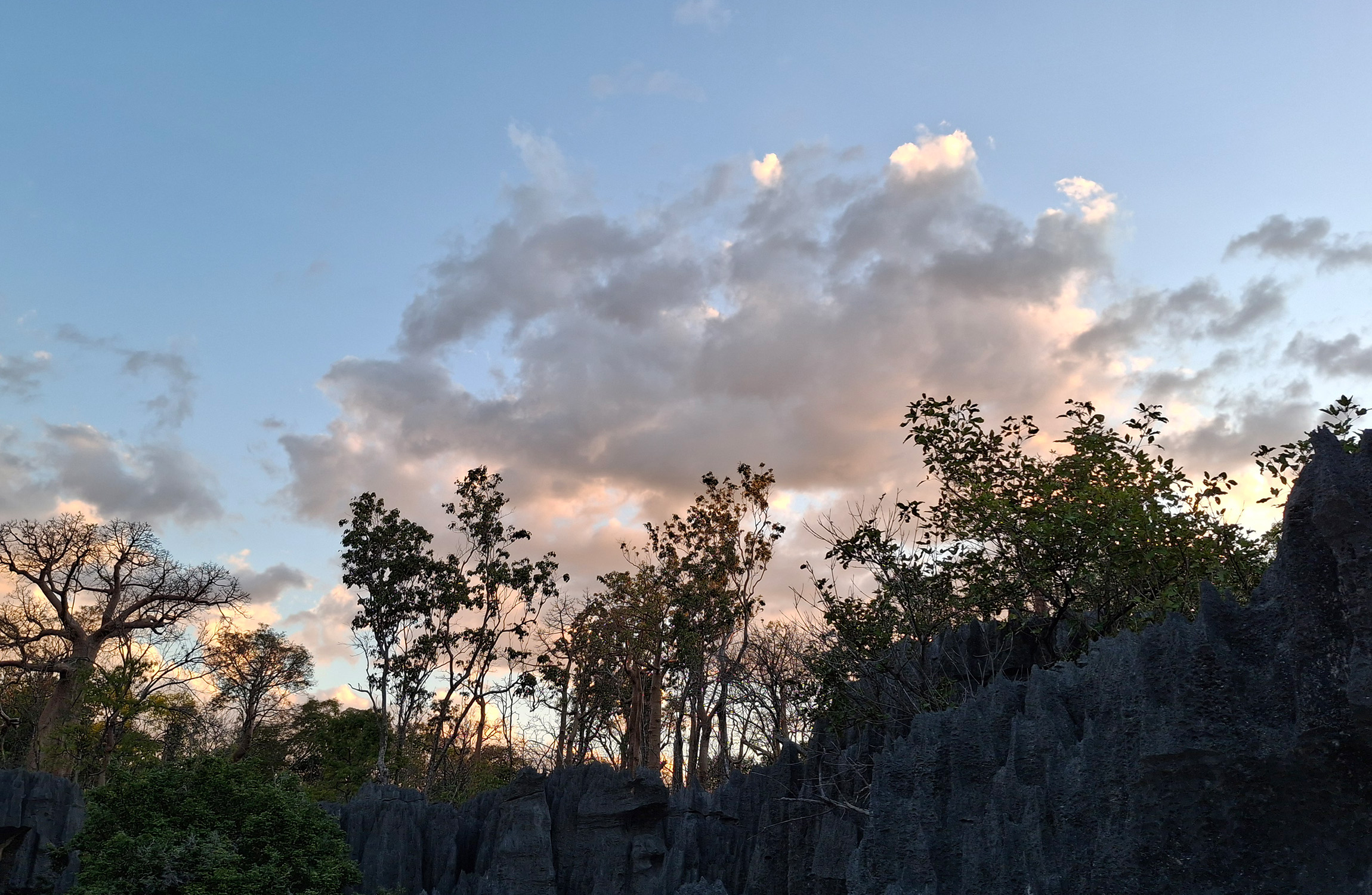 Madagascar