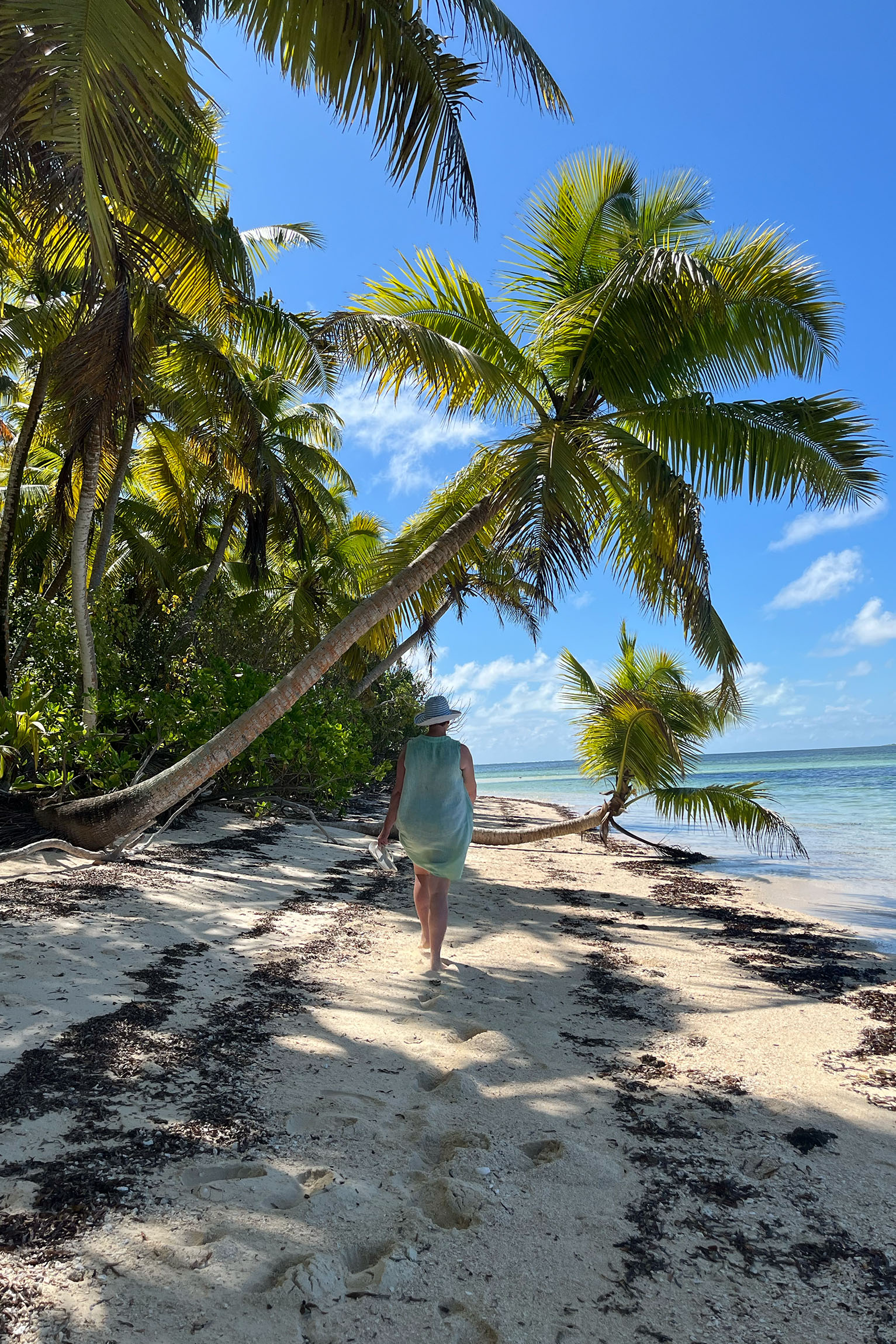 Alphonse, Seychelles