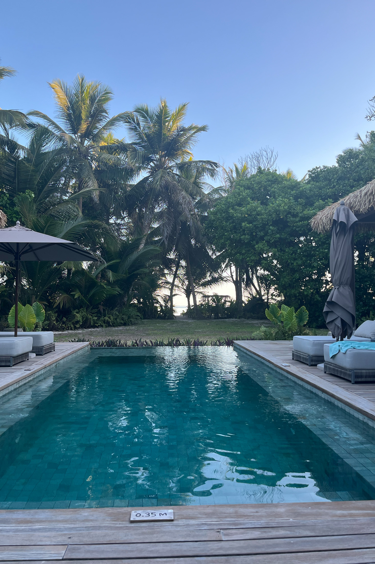 Tropical pool surrounded by palm trees
