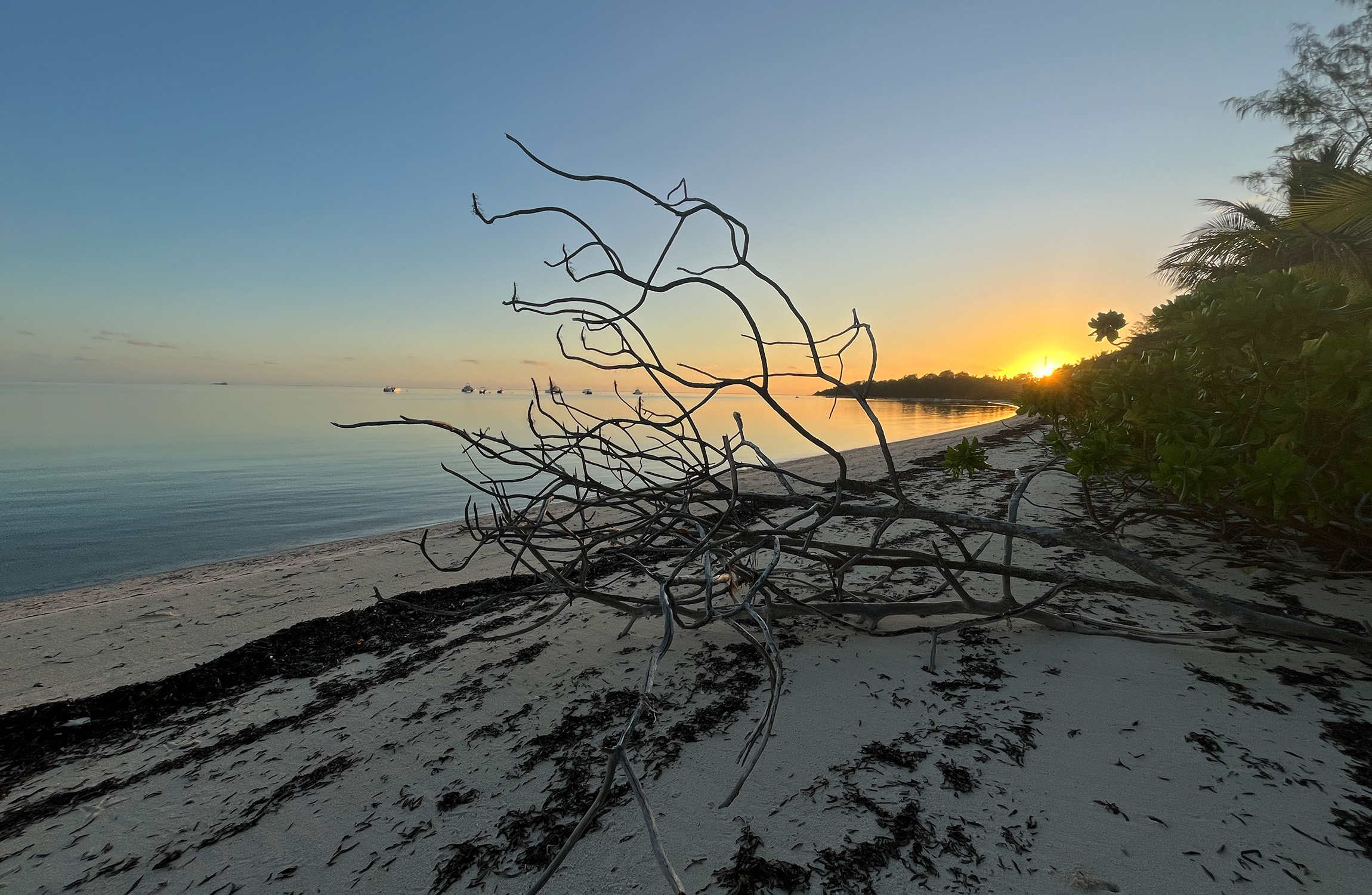 Alphonse, Seychelles