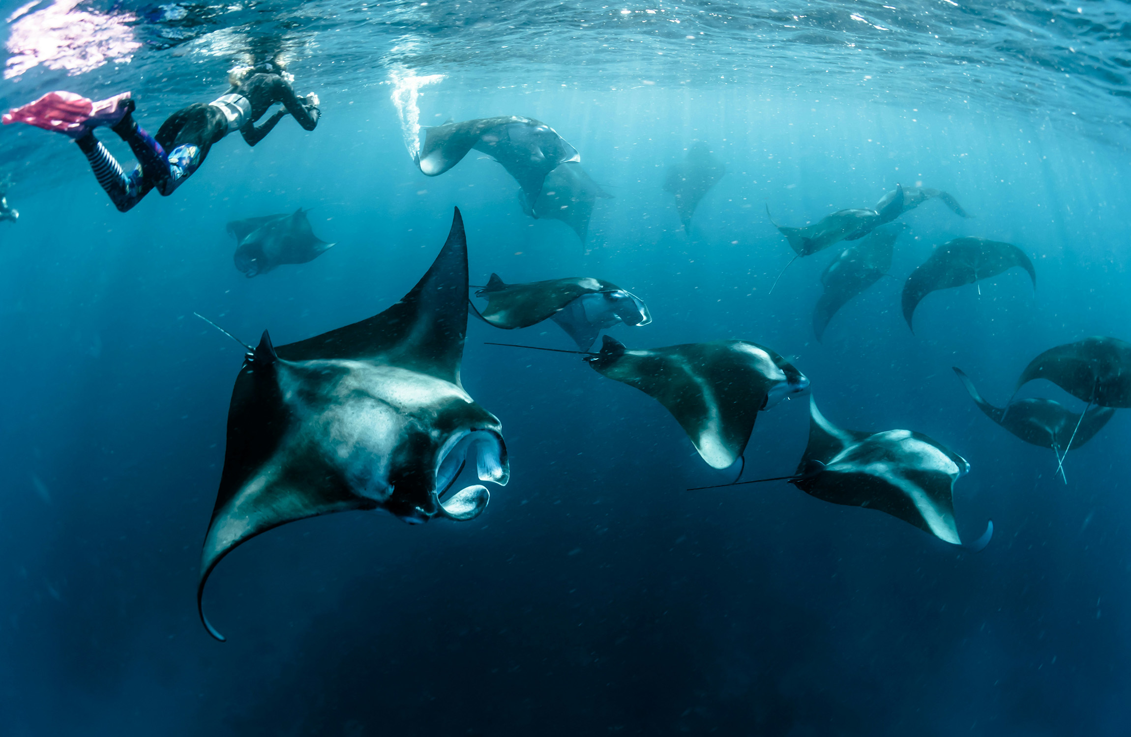 Dive