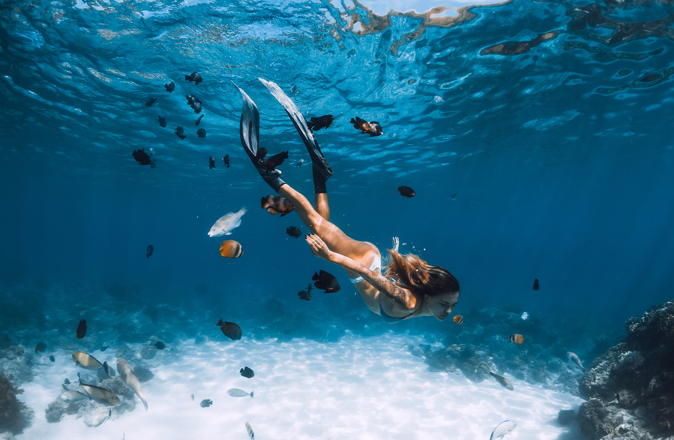 Dive
