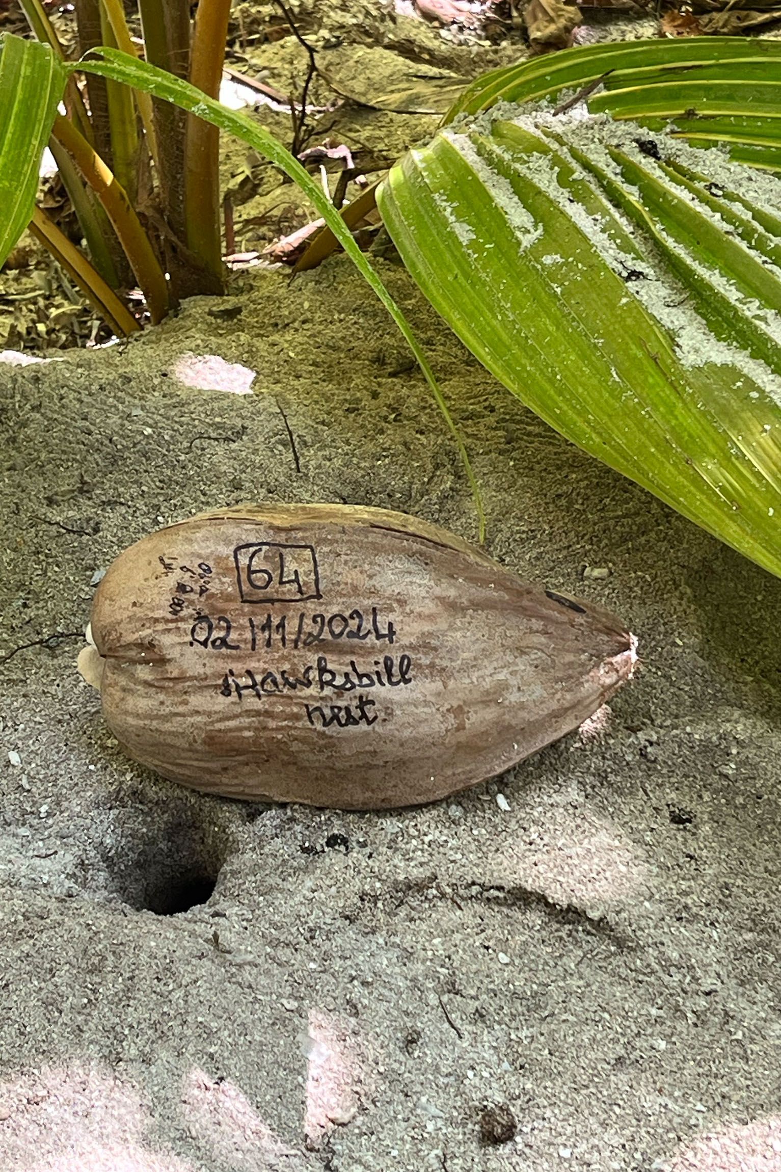 Waldorf Astoria, Seychelles